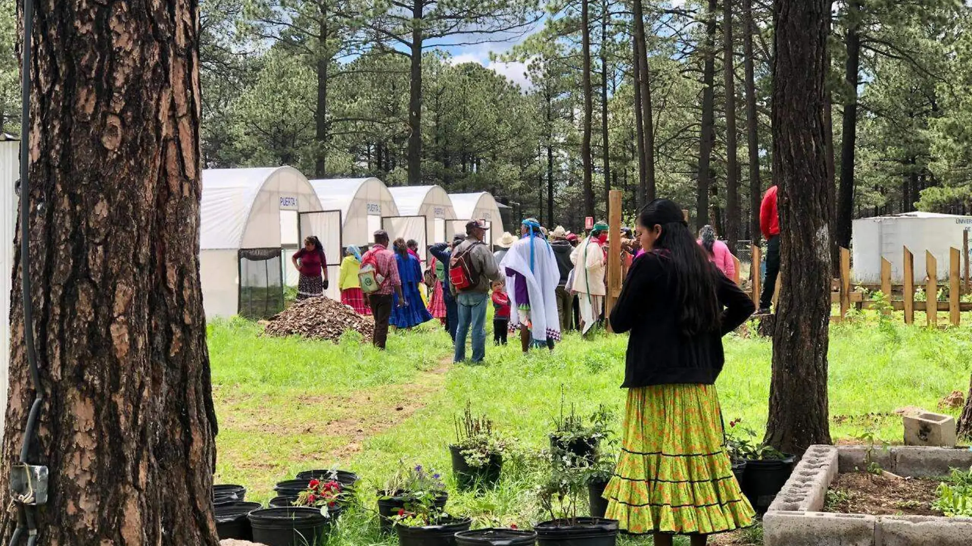 Visitan gobernadores indígenas la Universidad Tecnológica de la Tarahumaraokok